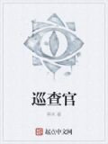 巡查官